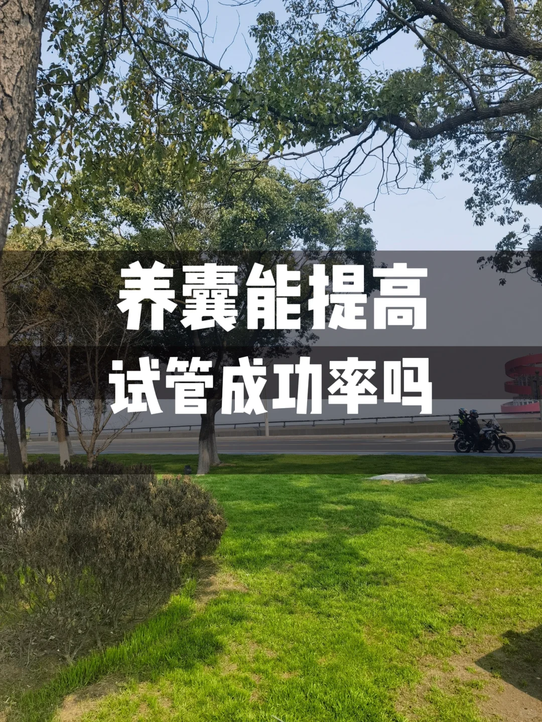 35岁|养囊能提高试管成功率吗？,代孕中心安全吗-代孕便宜