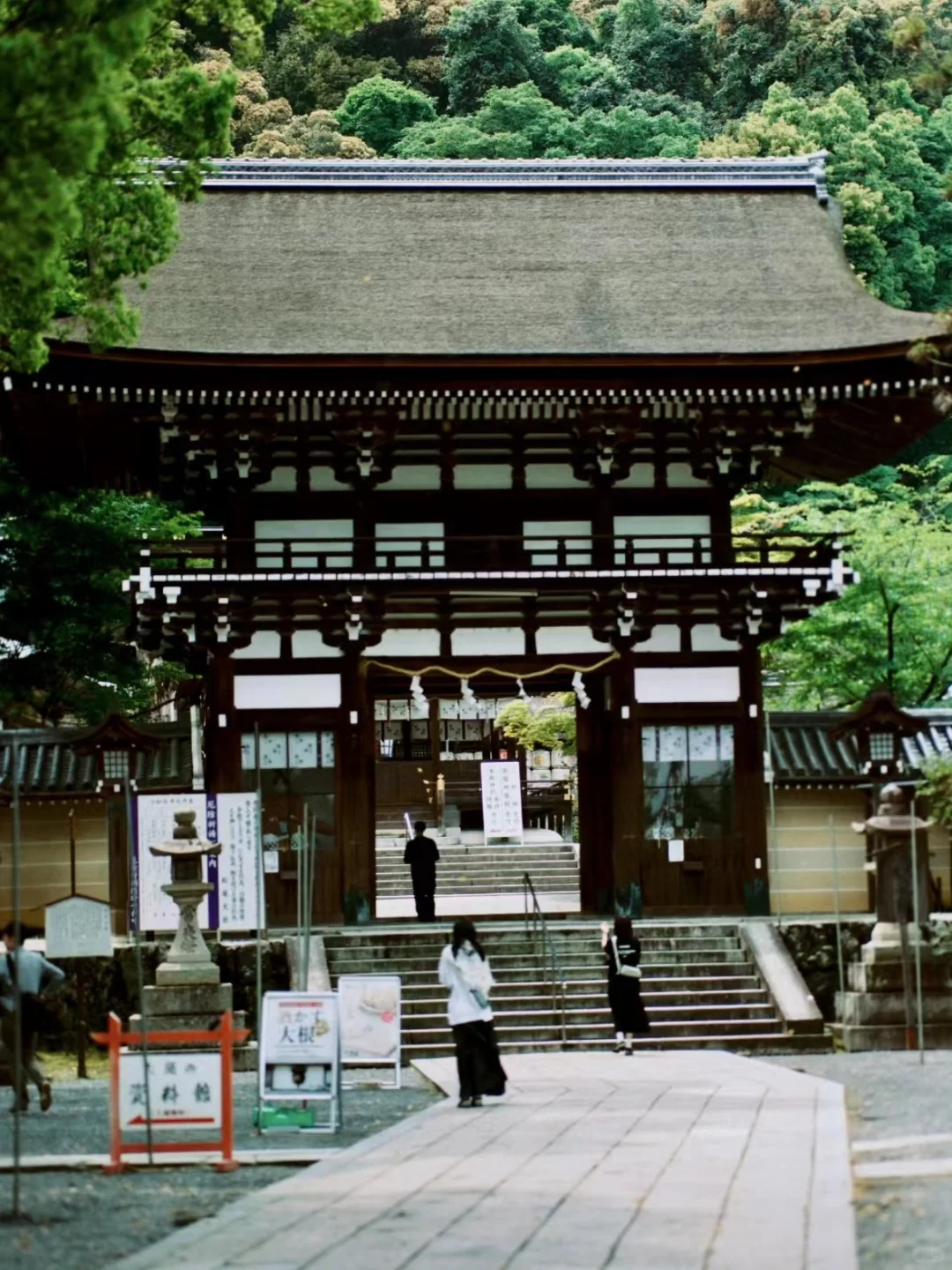 老公精子畸形率高怎么办啊啊啊啊担心baby,国内供卵机构哪个好,代孕网哪家中心好